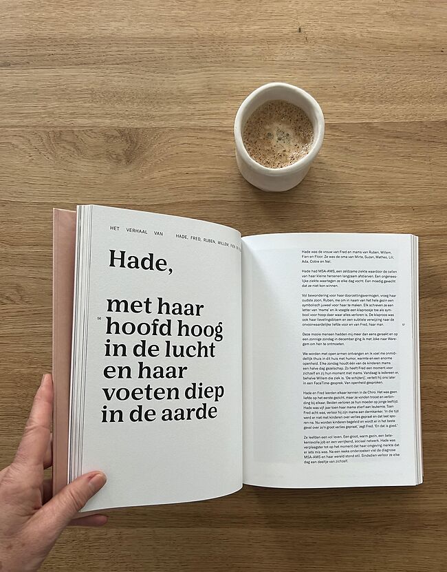 rouwboek schoonheid in verlies veronique sneyaert